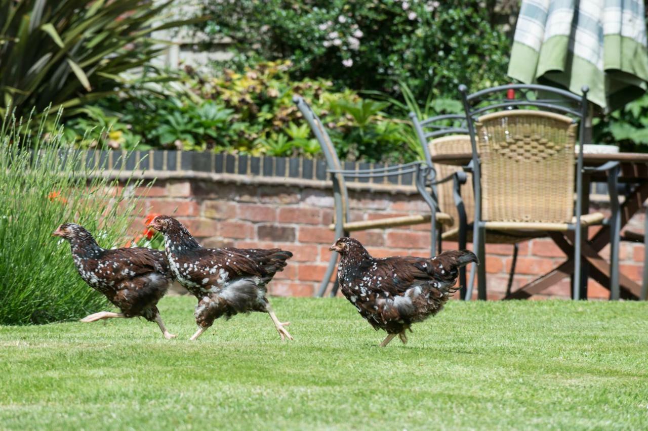 Moreton Hall Farm Bed and Breakfast Newport  Eksteriør billede