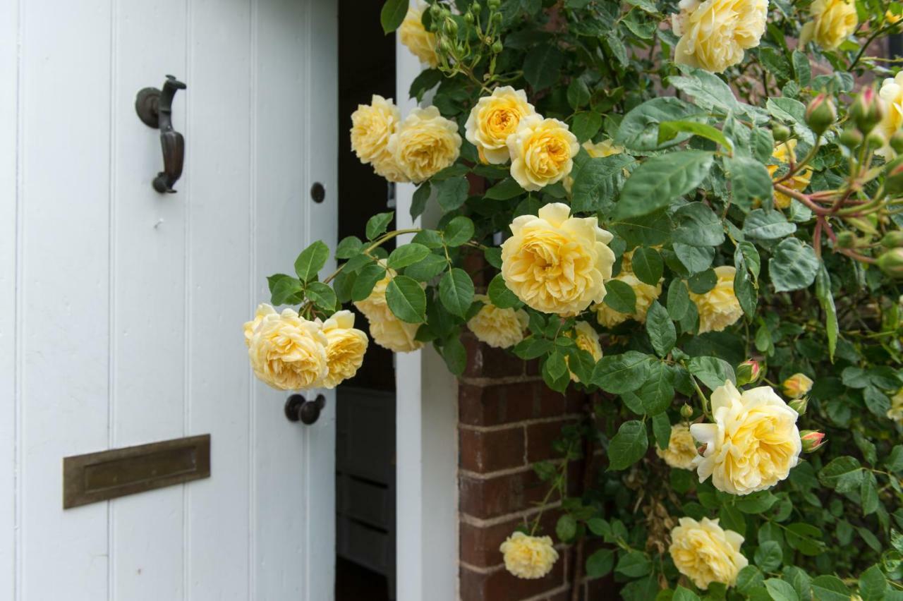 Moreton Hall Farm Bed and Breakfast Newport  Eksteriør billede